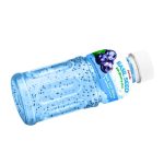 basil-seed-drink-blueberry-2-datafa-company-limited