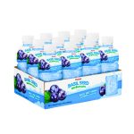 basil-seed-drink-blueberry-5-datafa-company-limited