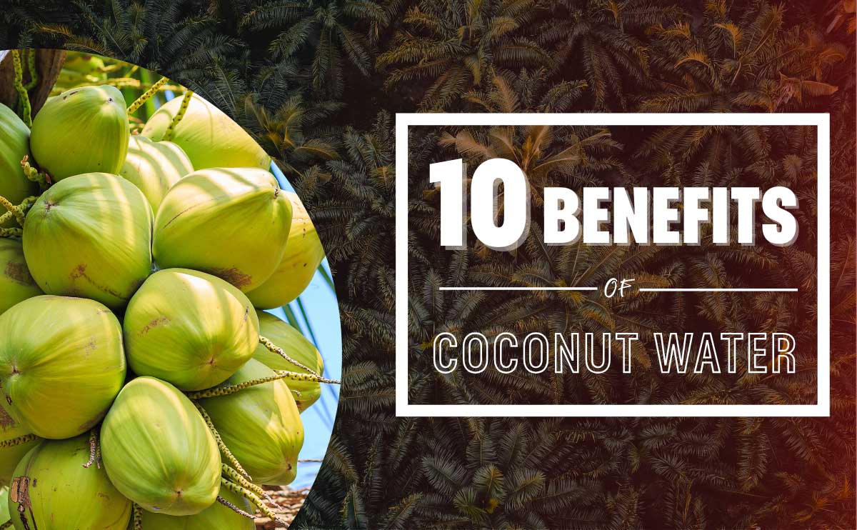 coconut-water-benefits-thumbnail-blog-datafa-company-limited