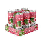 Datafa Aloe Vera Watermelon 330ml Can OEM Private Label - Image 3