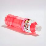 Nata de coco drink lychee 1 Litre