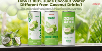 Need a reliable partner for Private Label Coconut Water? How 100% juice differs from coconut drinks is key to your market success. Explore Datafa’s OEM solutions now.